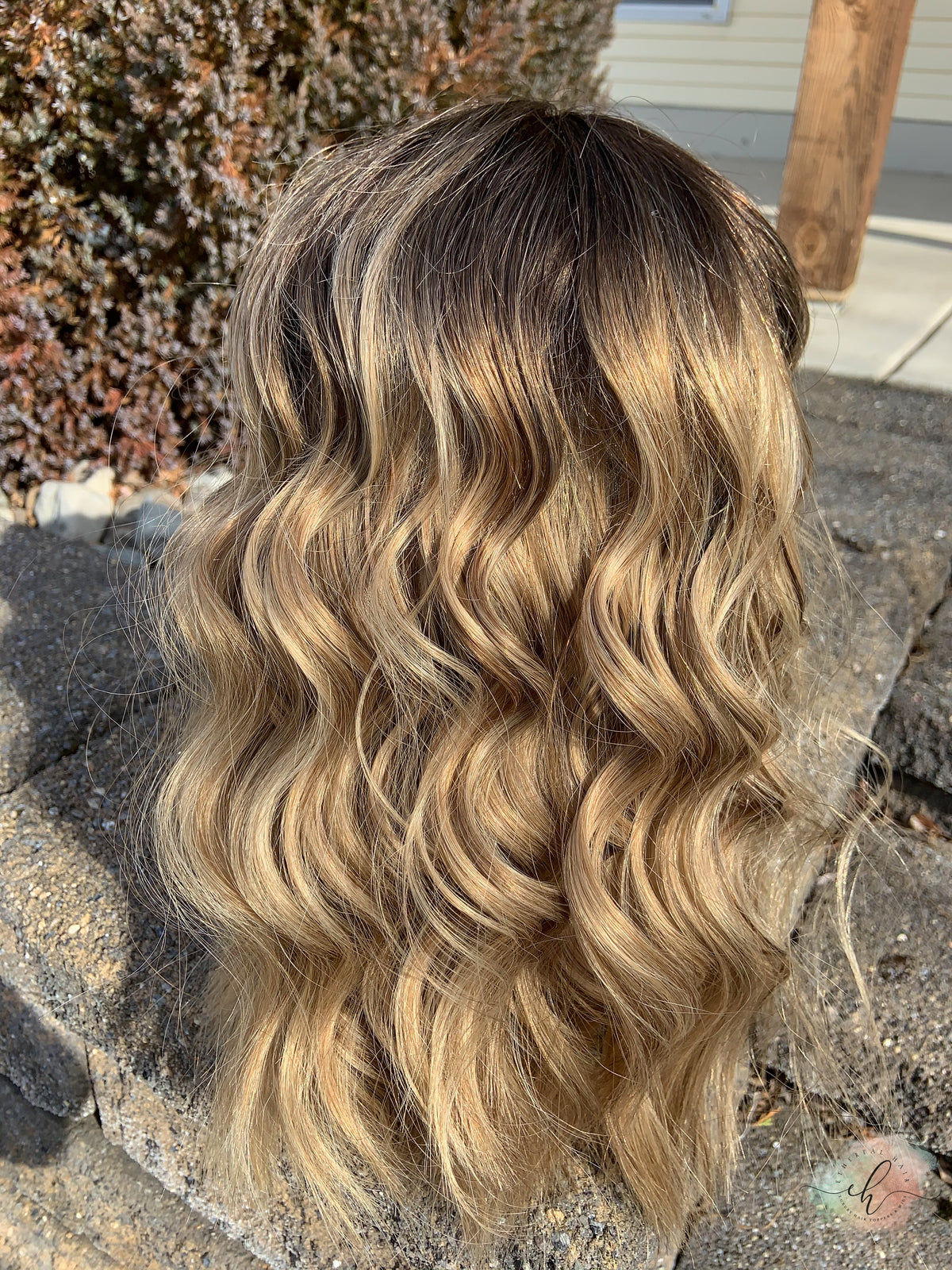 &quot;I CAN &amp; I WILL&quot; Exquisite Wig: Lace Top, Sz. M, 18.5&quot;